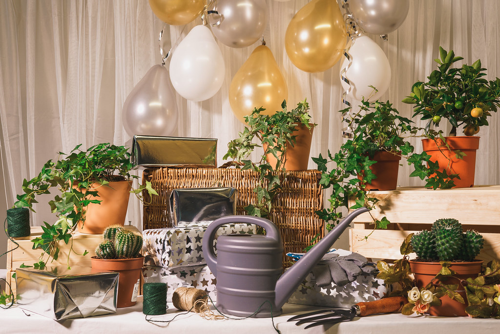 Small gardening tools with a watering can, hand trowel, pruning shears, and potted plants on a table