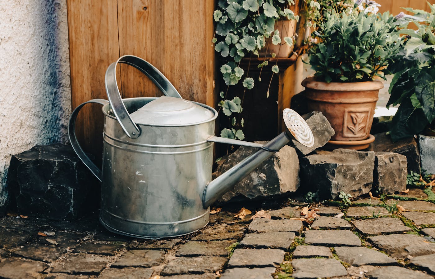 Metal watering can beside potted plants on a stone floor