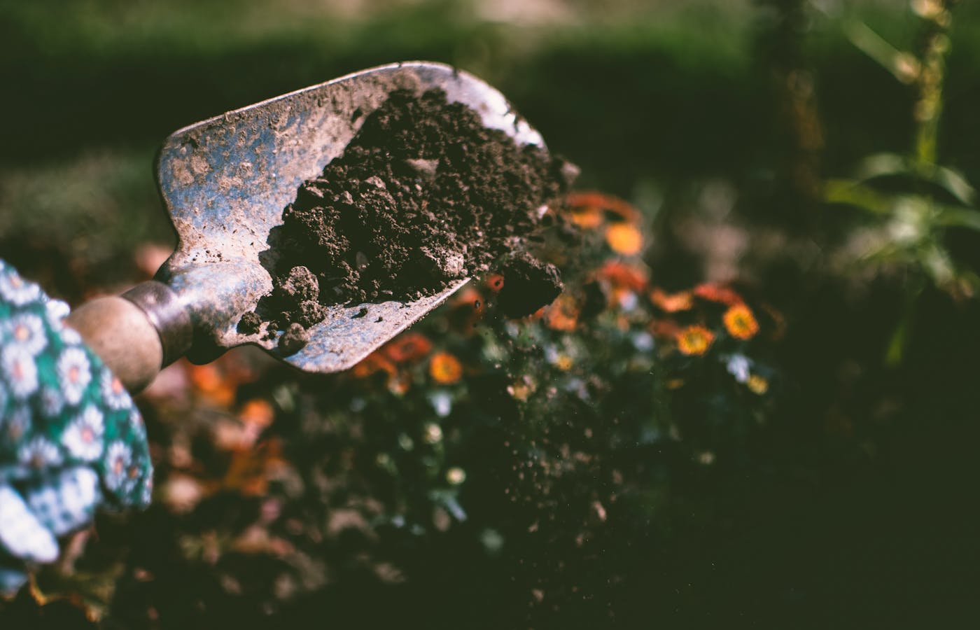 Garden hand tools arranged on soil