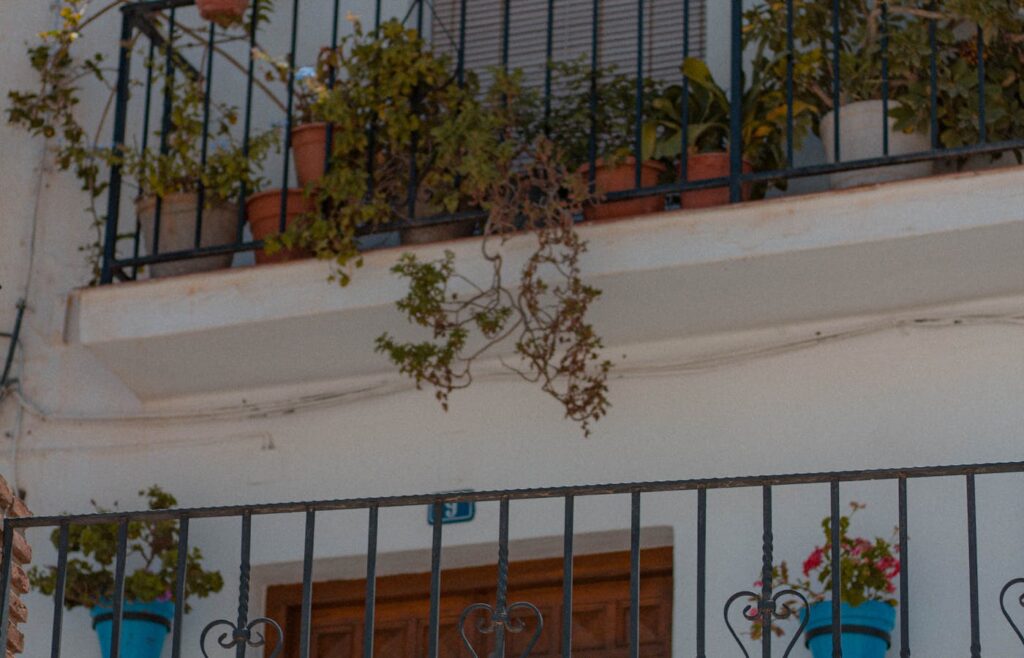 Trailing potted plants on apartment balcony railing