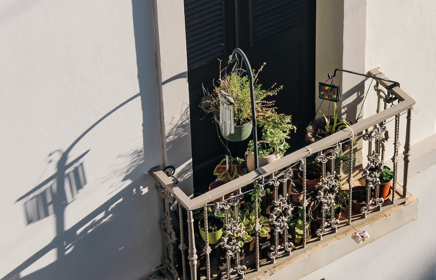 Small balcony garden with many potted plants behind a metal railing