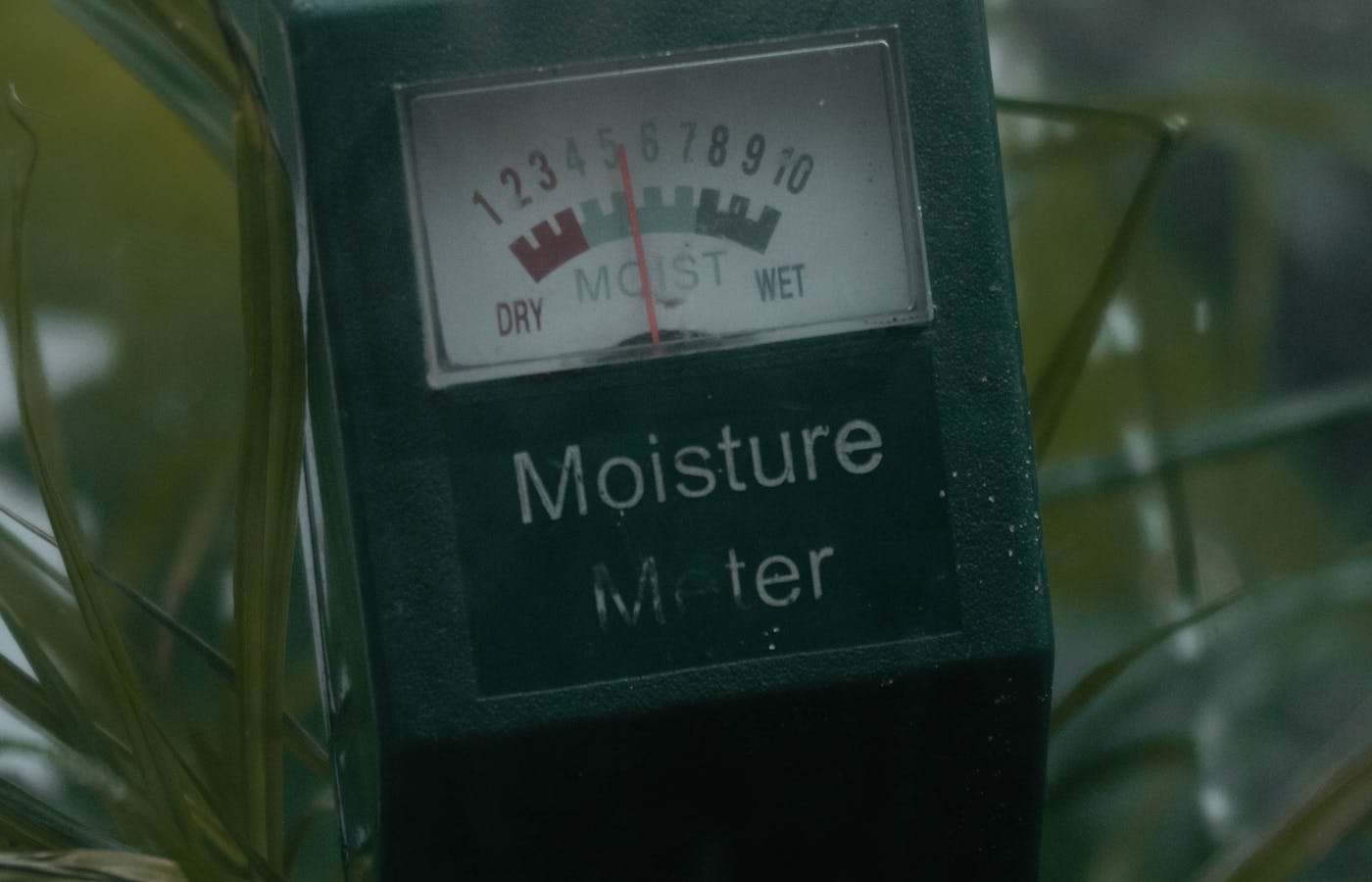 Analog moisture meter gauge among green leaves