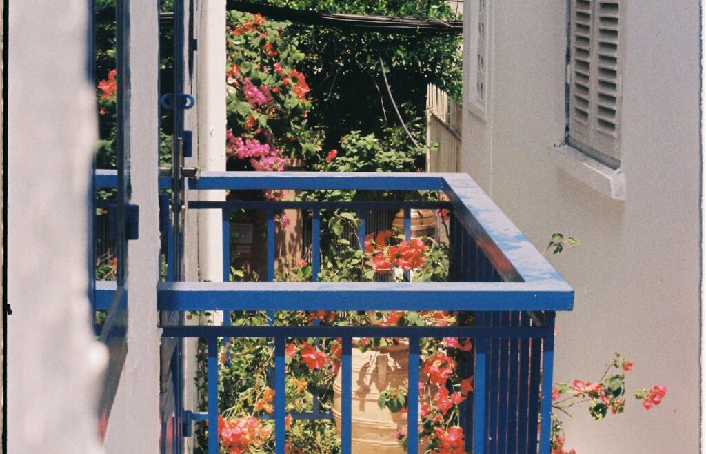 Full sun balcony with flowering plants near a blue railing