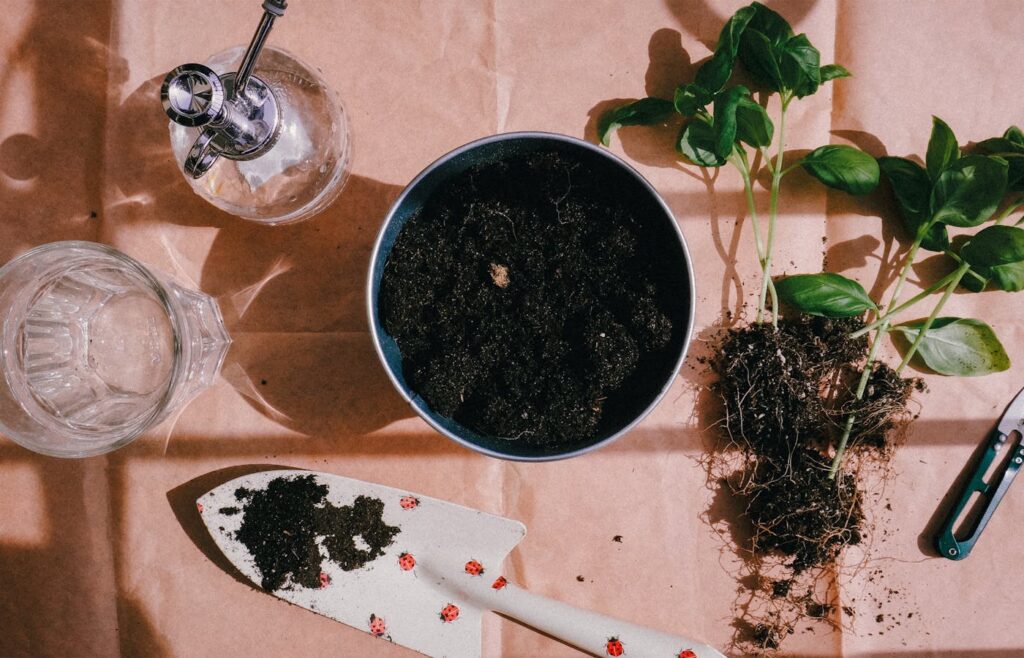 Garden trowel, soil, spray bottle, and green seedlings on paper