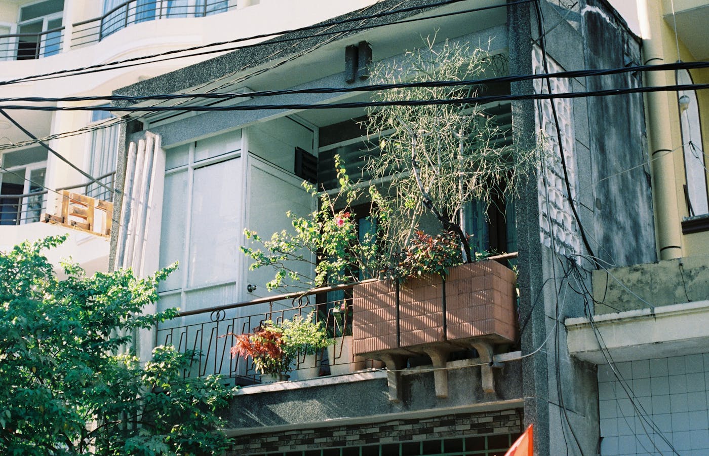 Apartment balcony with potted plants along the railing