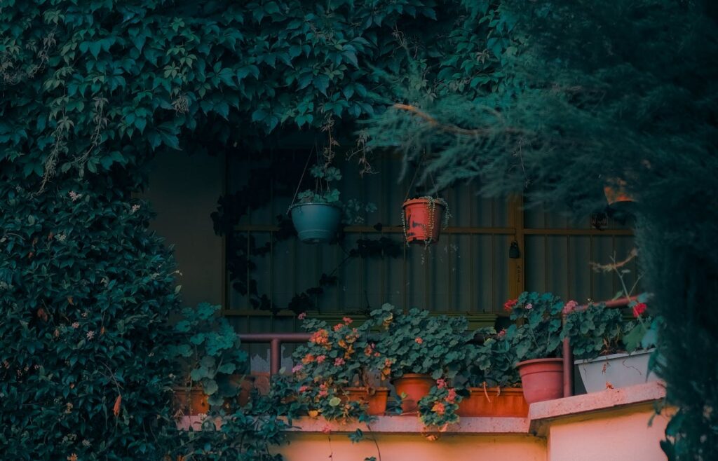 Balcony garden with hanging pots and plants near a railing