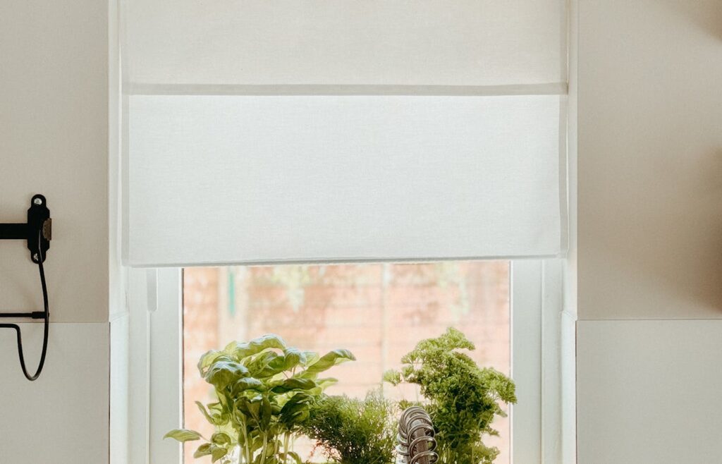 Herbs growing beside a kitchen window