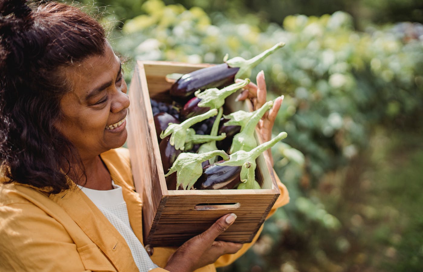 Person holding freshly harvested vegetables in a garden