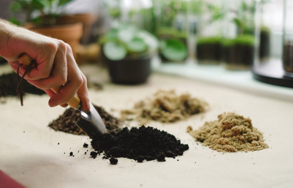 Different soil samples beside a hand trowel