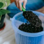 Hand trowel lifting potting soil from a container