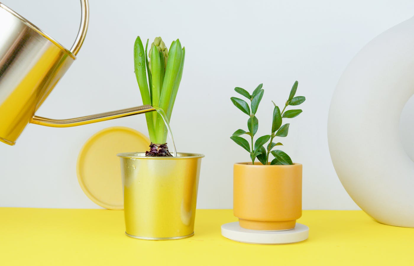 Gold watering can pouring water into indoor plants
