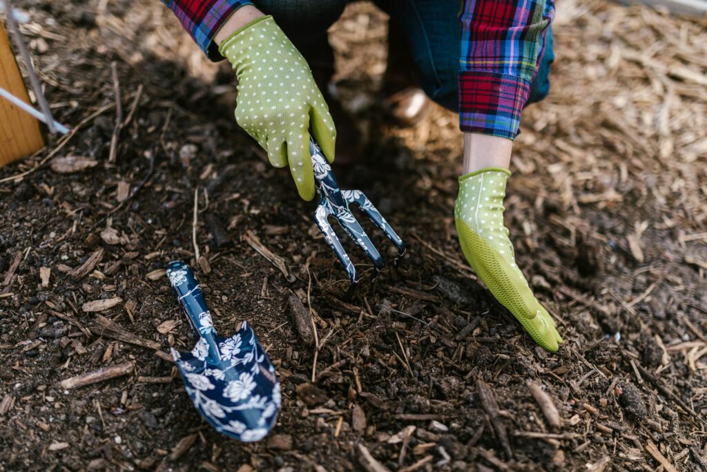 Green gardening gloves holding a hand cultivator in soil