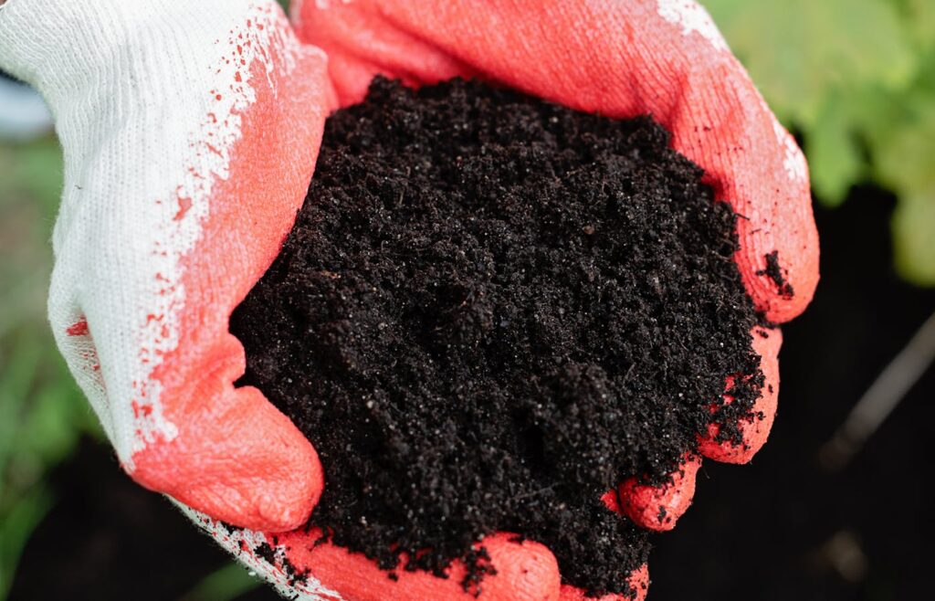 Red garden gloves holding a handful of dark potting soil