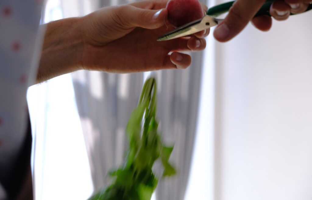 Hands using pruning shears on green plant leaves