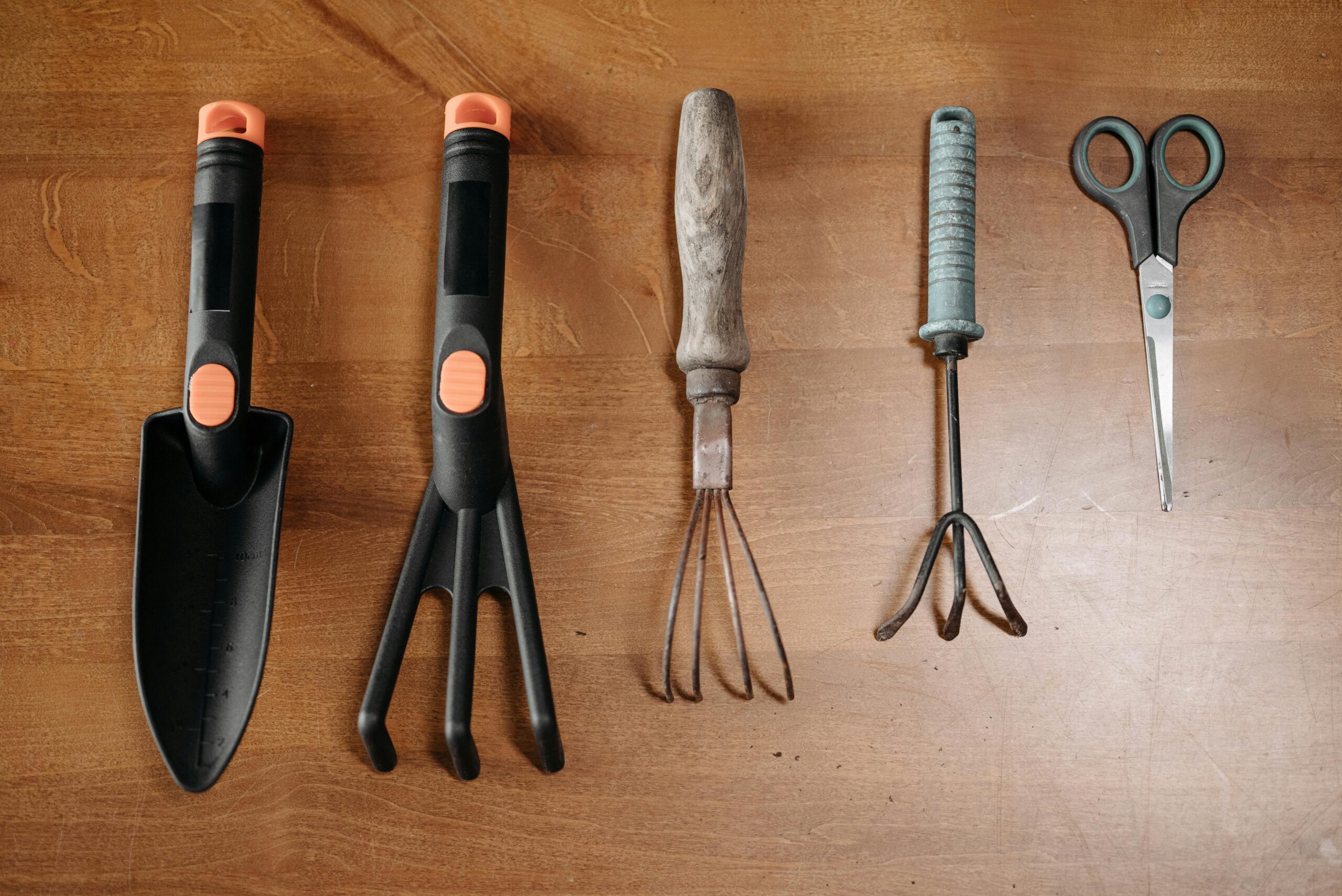 Garden hand tools arranged on a wooden table